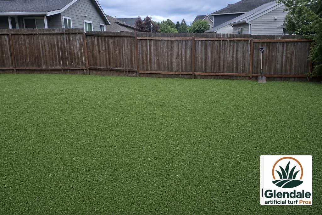 Desert Climate Turf Conversion photo