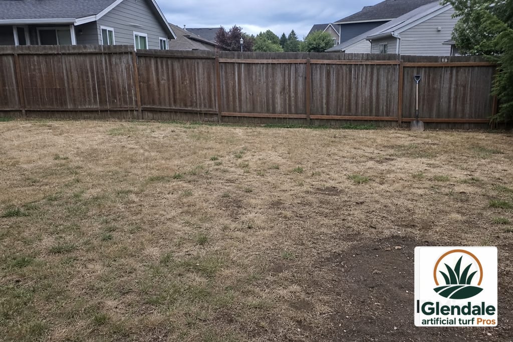 Desert Climate Turf Conversion photo