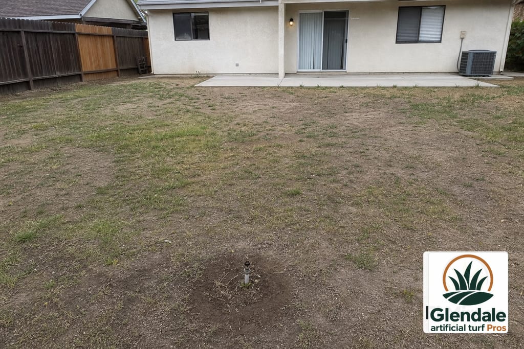 Residential Backyard Turf Installation photo